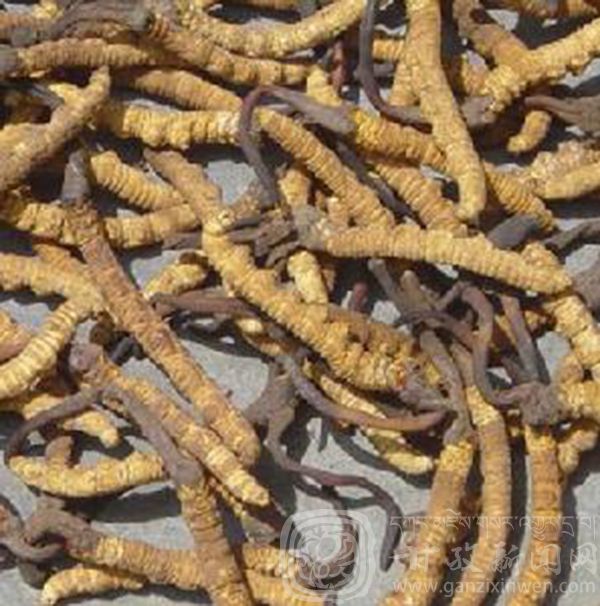 西部太陽(yáng)谷 得榮原生態(tài)美食 西部太陽(yáng)谷 得榮原生態(tài)美食