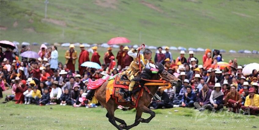 格?；ㄊ㈤_ 牧民馬背上一顯身手