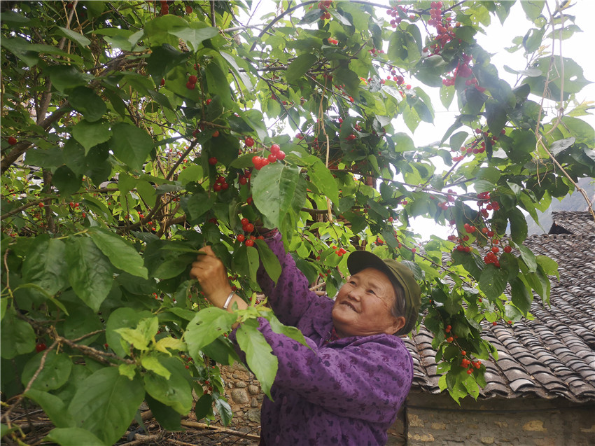 甜蜜.jpg 甜蜜.jpg