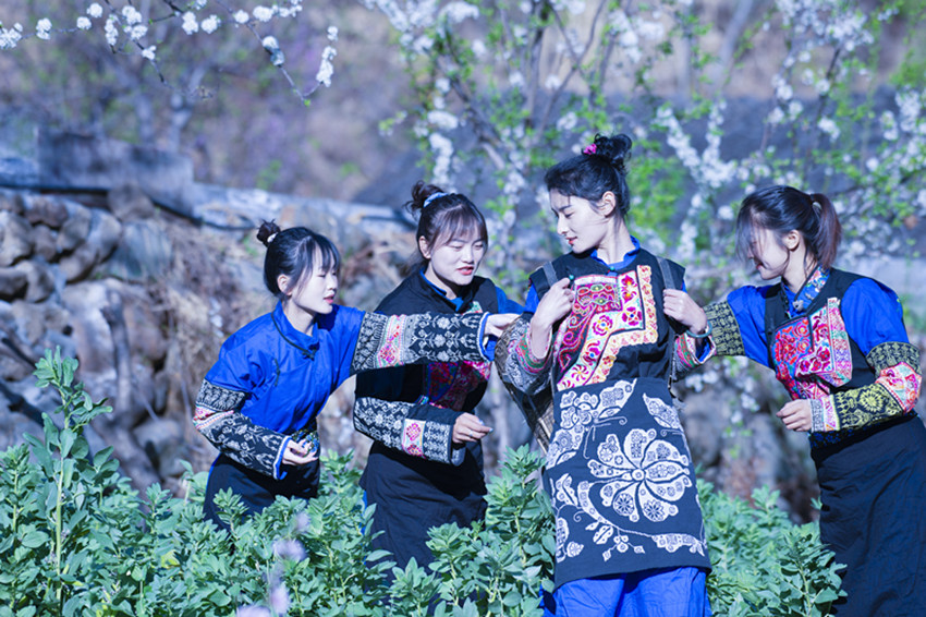 采艾草.jpg 采艾草.jpg